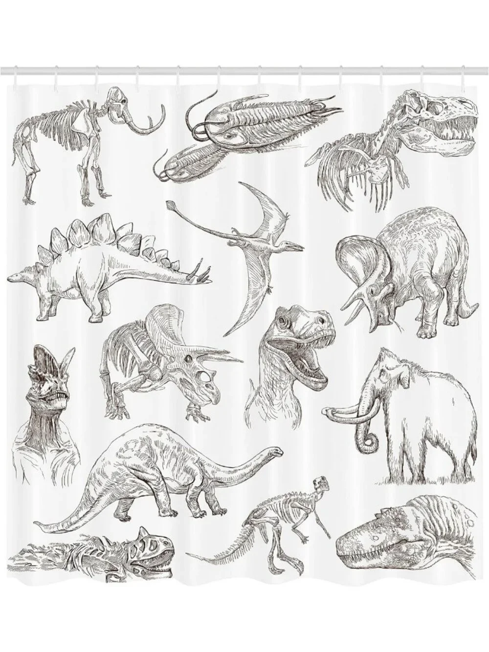 Jurassic Dinosaur Skeleton Shower Curtain, Unique Bathroom Decor, 69